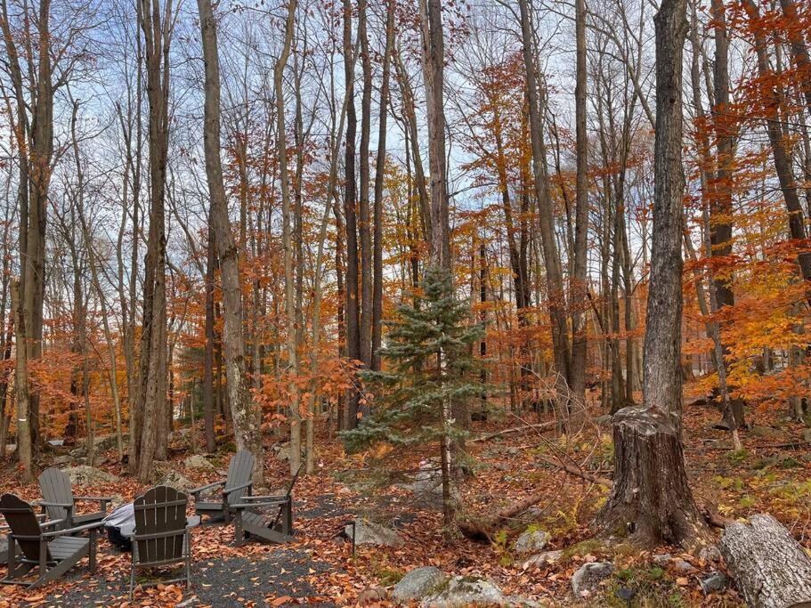 Stylish And Cozy Cabin, Walking Distance To Big Bass Lake Gouldsboro Eksteriør billede