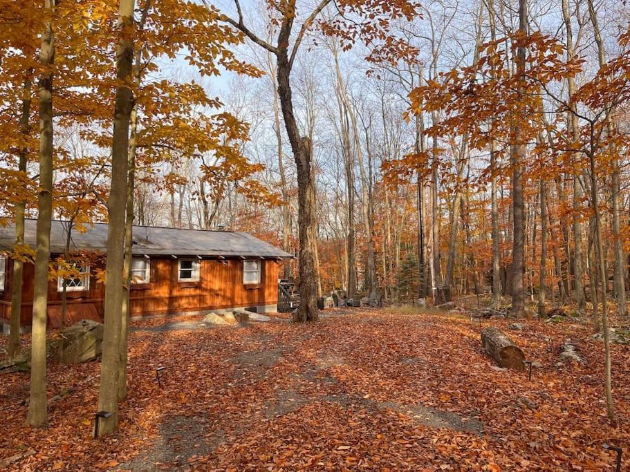 Stylish And Cozy Cabin, Walking Distance To Big Bass Lake Gouldsboro Eksteriør billede